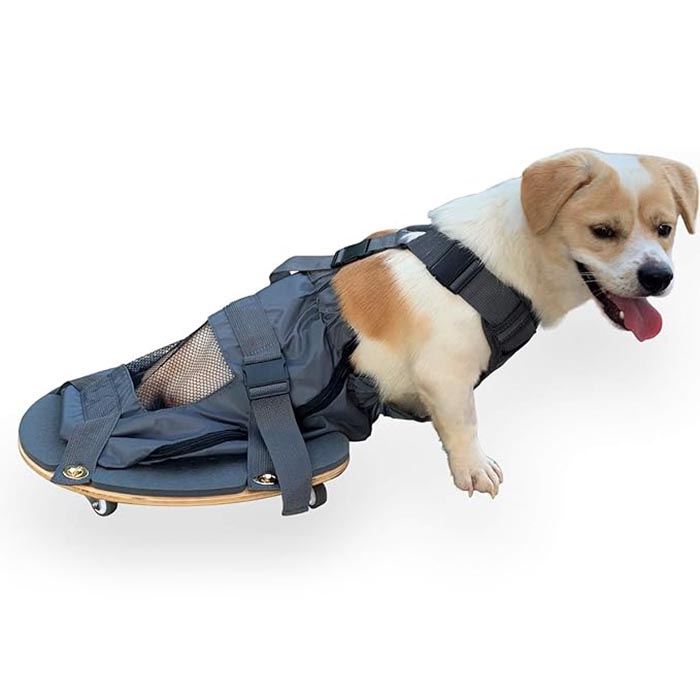 Scooter Pairilis Léag Pet - Uirlis riachtanach d'úinéirí peataí